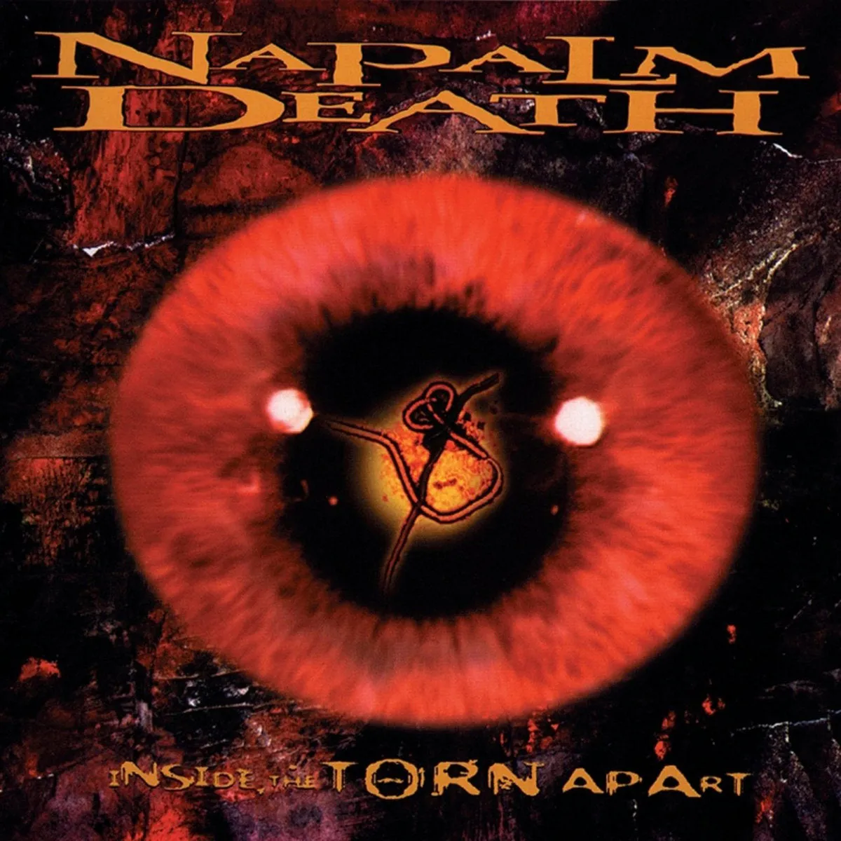 Napalm Death "Inside The Torn Apart" Digital Download